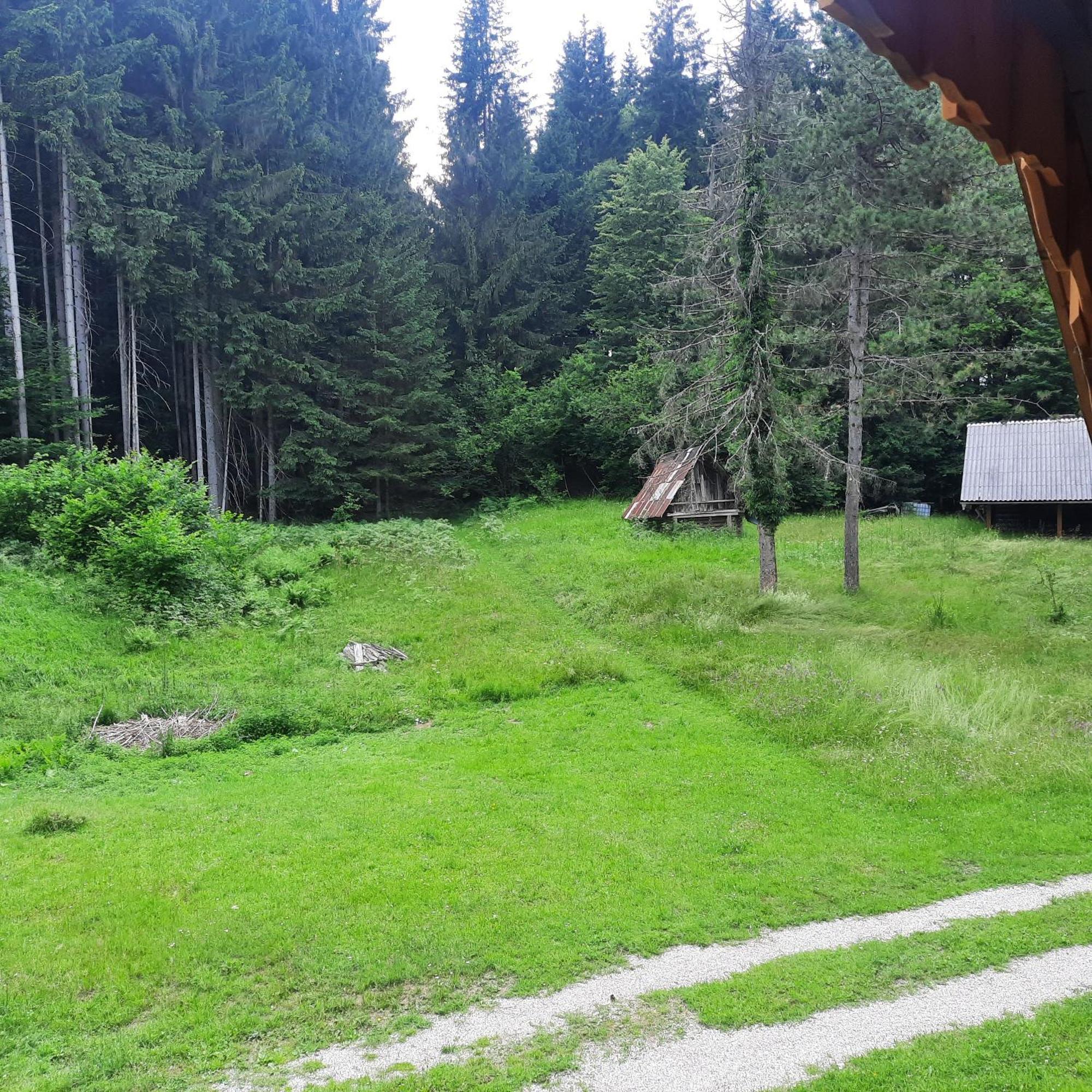 Appartamento Koca V Gozdu Bled Esterno foto
