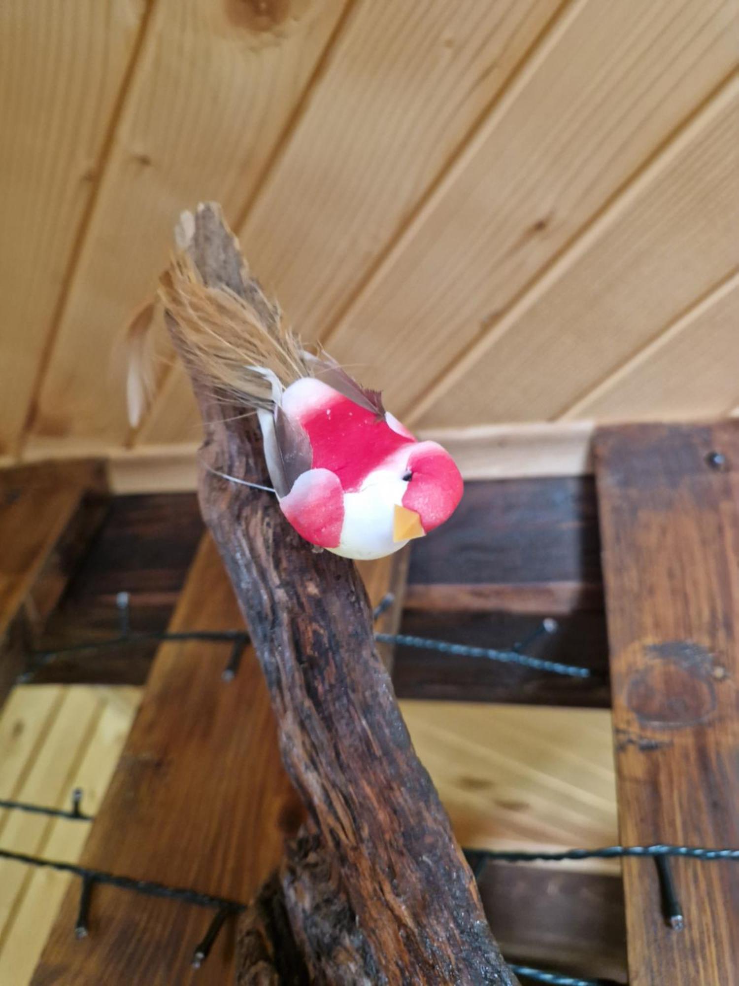 Appartamento Koca V Gozdu Bled Esterno foto
