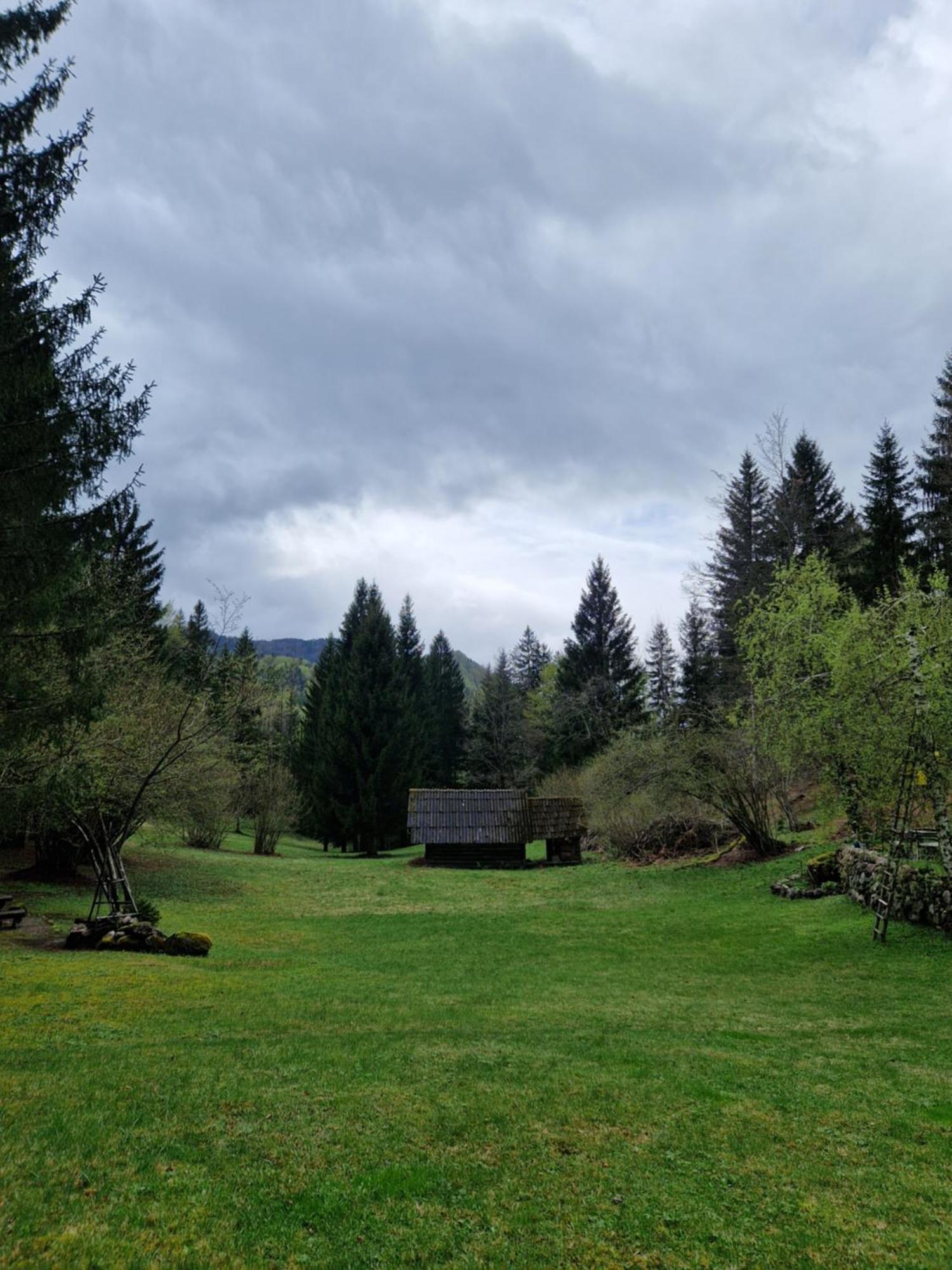 Appartamento Koca V Gozdu Bled Camera foto